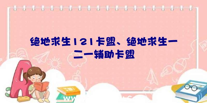 绝地求生121卡盟、绝地求生一二一辅助卡盟