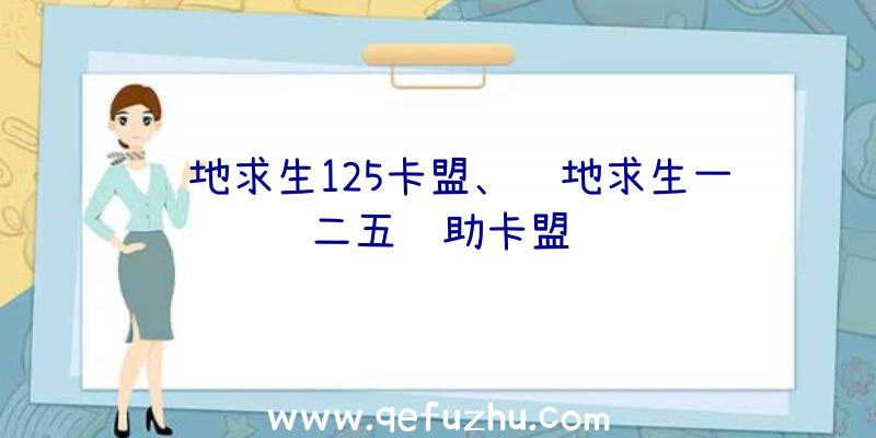 绝地求生125卡盟、绝地求生一二五辅助卡盟