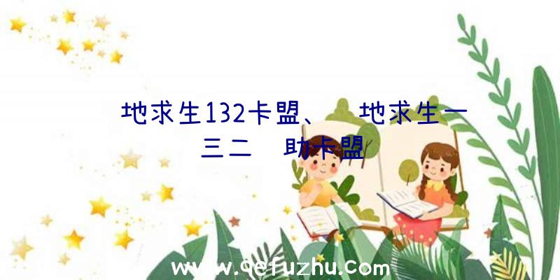 绝地求生132卡盟、绝地求生一三二辅助卡盟