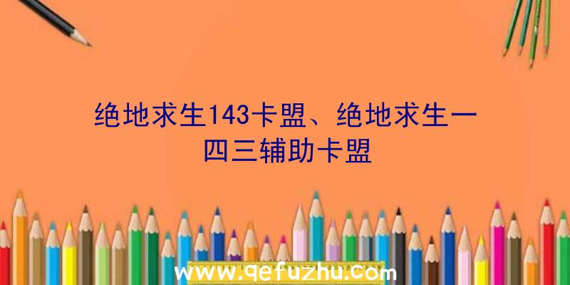 绝地求生143卡盟、绝地求生一四三辅助卡盟