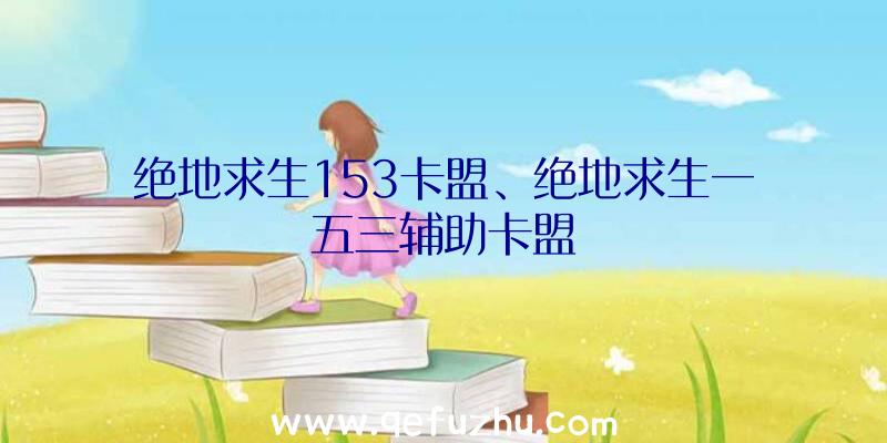 绝地求生153卡盟、绝地求生一五三辅助卡盟