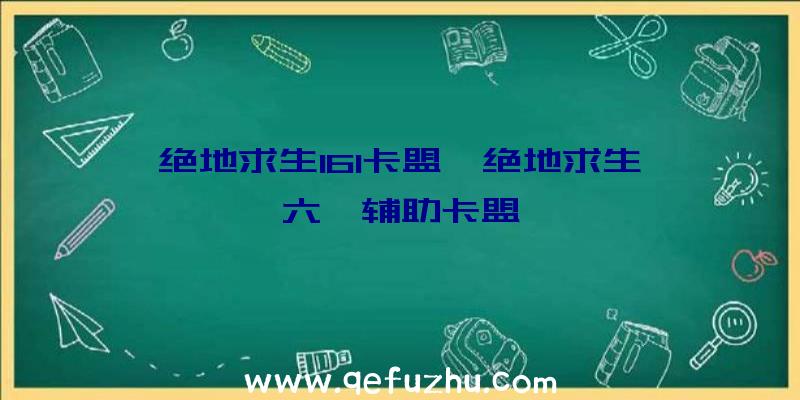 绝地求生161卡盟、绝地求生一六一辅助卡盟