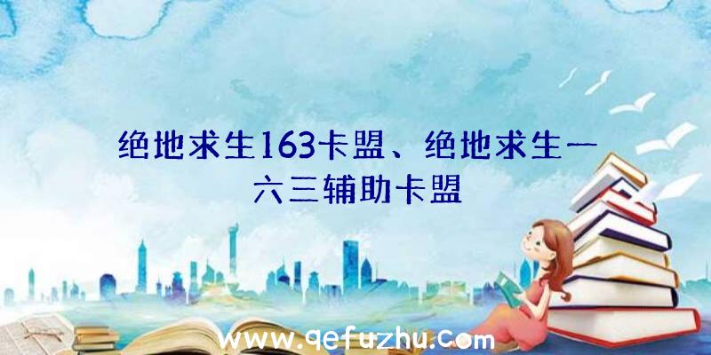 绝地求生163卡盟、绝地求生一六三辅助卡盟