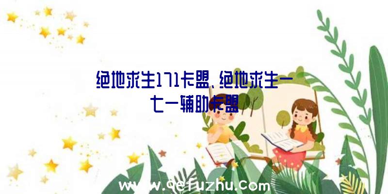 绝地求生171卡盟、绝地求生一七一辅助卡盟