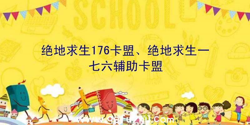 绝地求生176卡盟、绝地求生一七六辅助卡盟