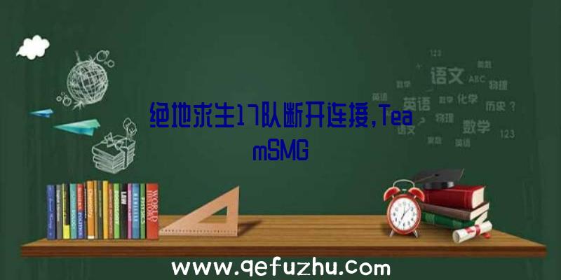 绝地求生17队断开连接,TeamSMG