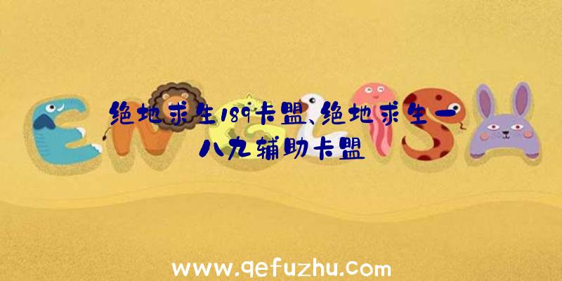 绝地求生189卡盟、绝地求生一八九辅助卡盟