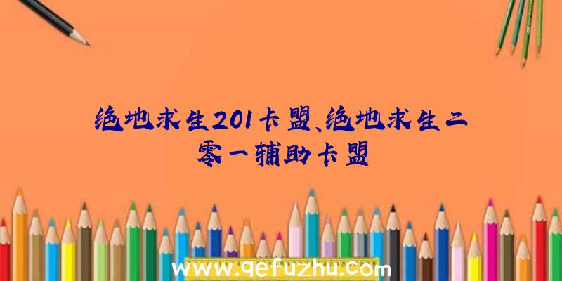 绝地求生201卡盟、绝地求生二零一辅助卡盟