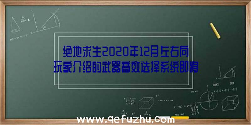 绝地求生2020年12月左右向玩家介绍的武器音效选择系统即将