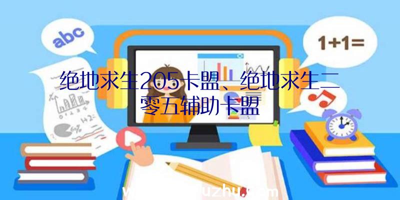 绝地求生205卡盟、绝地求生二零五辅助卡盟