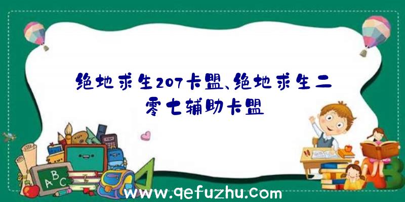 绝地求生207卡盟、绝地求生二零七辅助卡盟