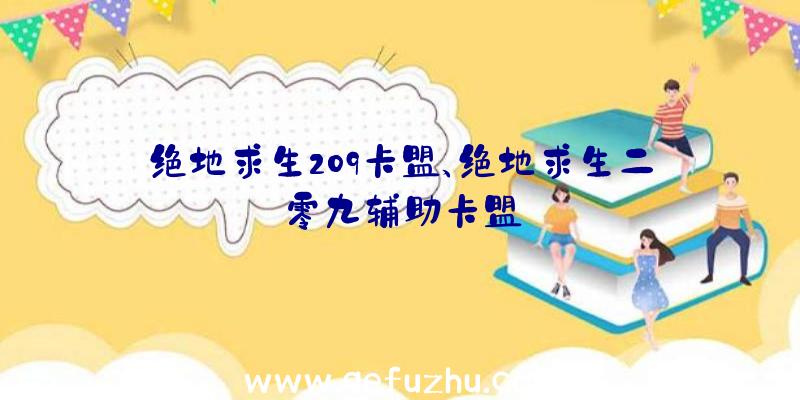 绝地求生209卡盟、绝地求生二零九辅助卡盟