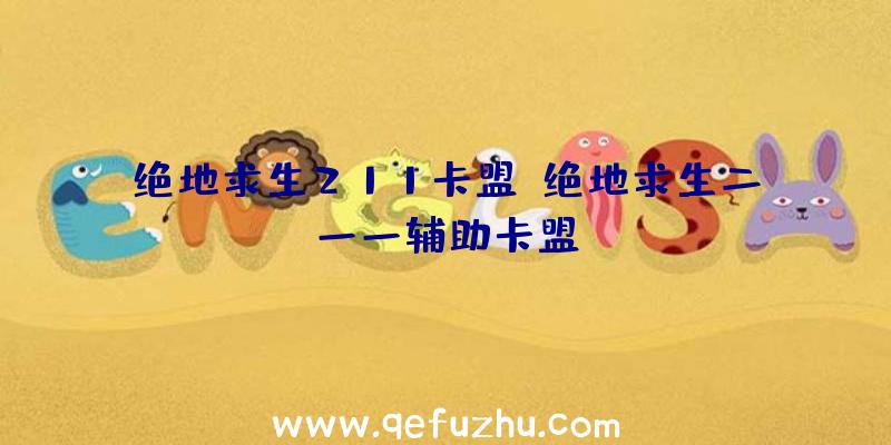 绝地求生211卡盟、绝地求生二一一辅助卡盟