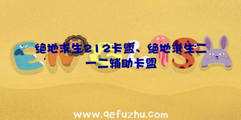 绝地求生212卡盟、绝地求生二一二辅助卡盟