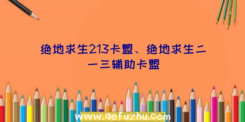 绝地求生213卡盟、绝地求生二一三辅助卡盟