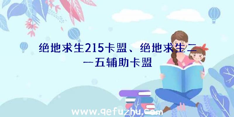 绝地求生215卡盟、绝地求生二一五辅助卡盟