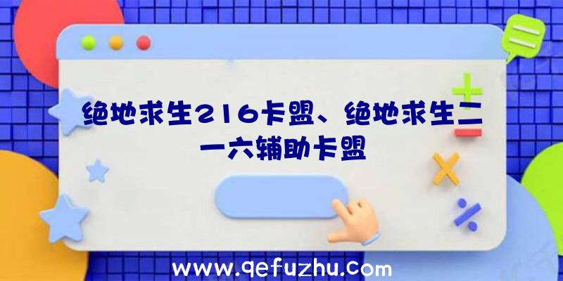 绝地求生216卡盟、绝地求生二一六辅助卡盟