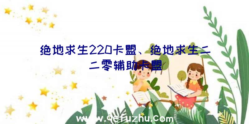 绝地求生220卡盟、绝地求生二二零辅助卡盟