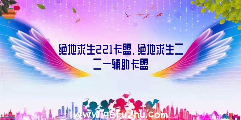 绝地求生221卡盟、绝地求生二二一辅助卡盟