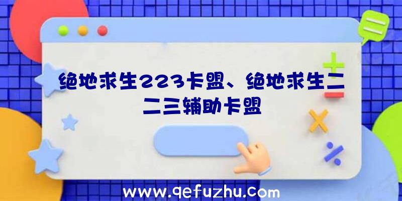 绝地求生223卡盟、绝地求生二二三辅助卡盟