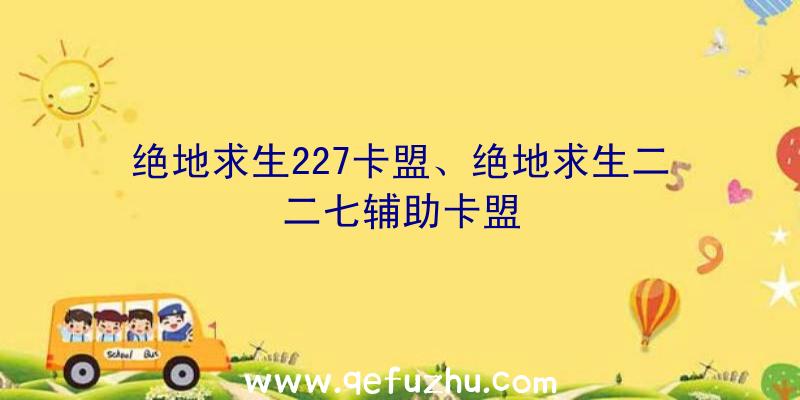 绝地求生227卡盟、绝地求生二二七辅助卡盟