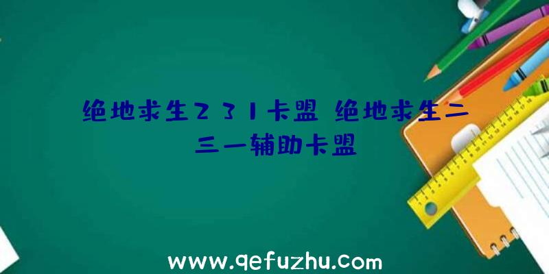 绝地求生231卡盟、绝地求生二三一辅助卡盟