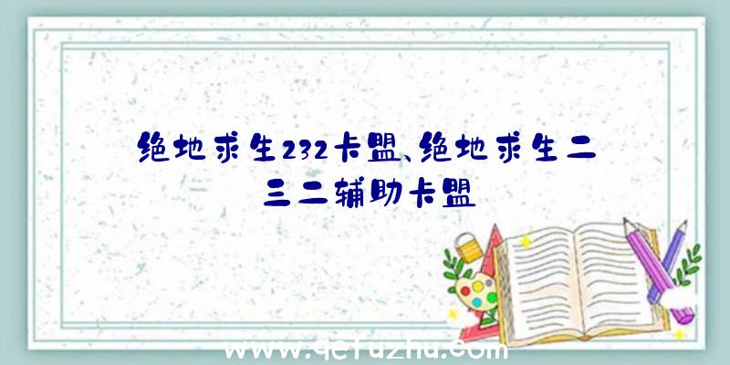 绝地求生232卡盟、绝地求生二三二辅助卡盟