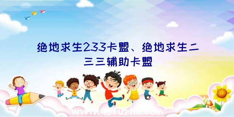 绝地求生233卡盟、绝地求生二三三辅助卡盟