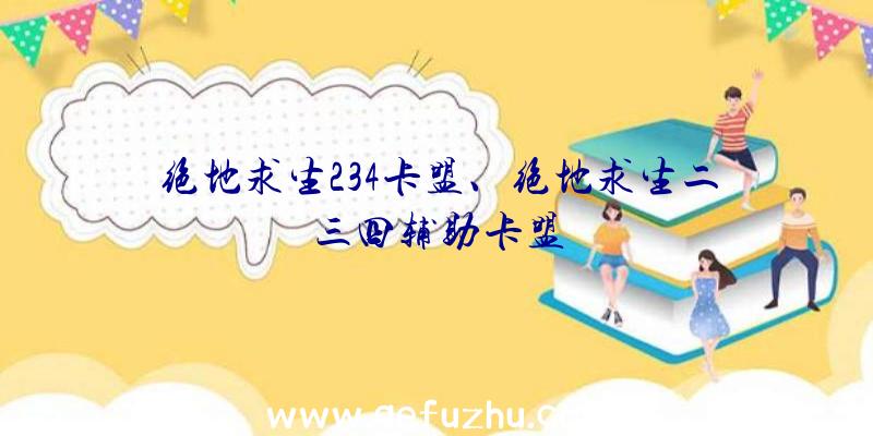 绝地求生234卡盟、绝地求生二三四辅助卡盟