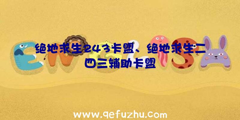 绝地求生243卡盟、绝地求生二四三辅助卡盟