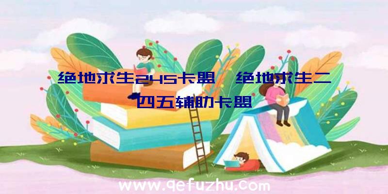 绝地求生245卡盟、绝地求生二四五辅助卡盟