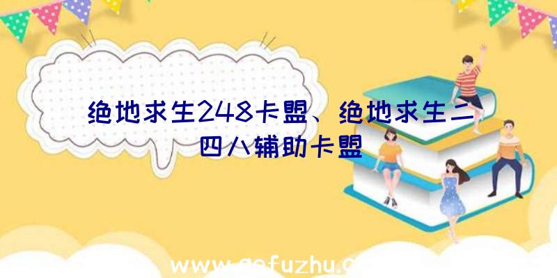 绝地求生248卡盟、绝地求生二四八辅助卡盟