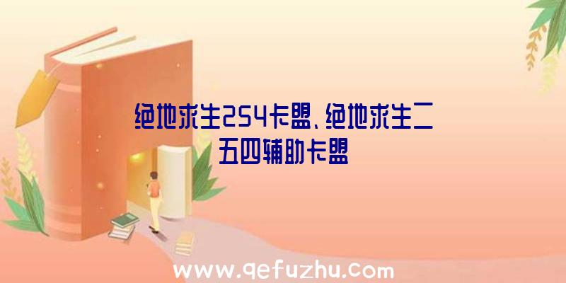 绝地求生254卡盟、绝地求生二五四辅助卡盟