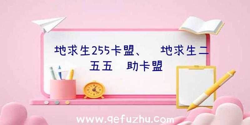 绝地求生255卡盟、绝地求生二五五辅助卡盟