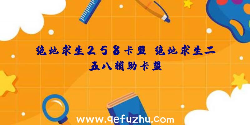 绝地求生258卡盟、绝地求生二五八辅助卡盟