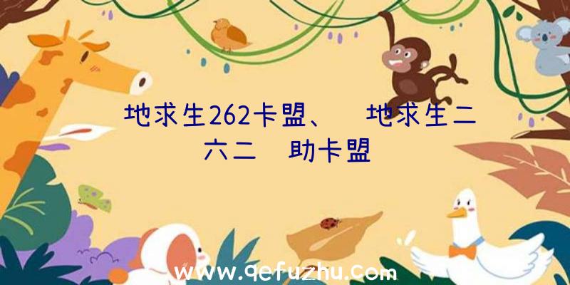 绝地求生262卡盟、绝地求生二六二辅助卡盟