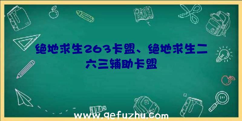 绝地求生263卡盟、绝地求生二六三辅助卡盟