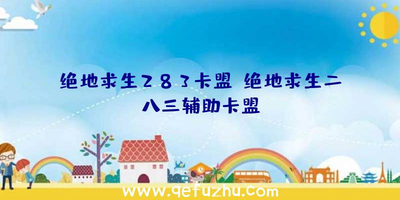 绝地求生283卡盟、绝地求生二八三辅助卡盟