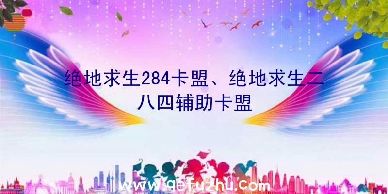 绝地求生284卡盟、绝地求生二八四辅助卡盟