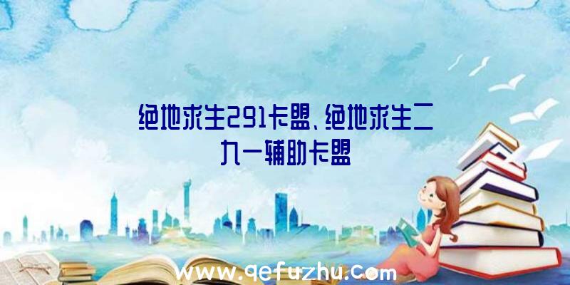 绝地求生291卡盟、绝地求生二九一辅助卡盟