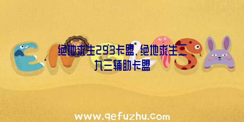 绝地求生293卡盟、绝地求生二九三辅助卡盟