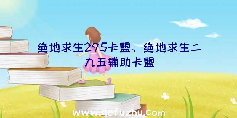 绝地求生295卡盟、绝地求生二九五辅助卡盟