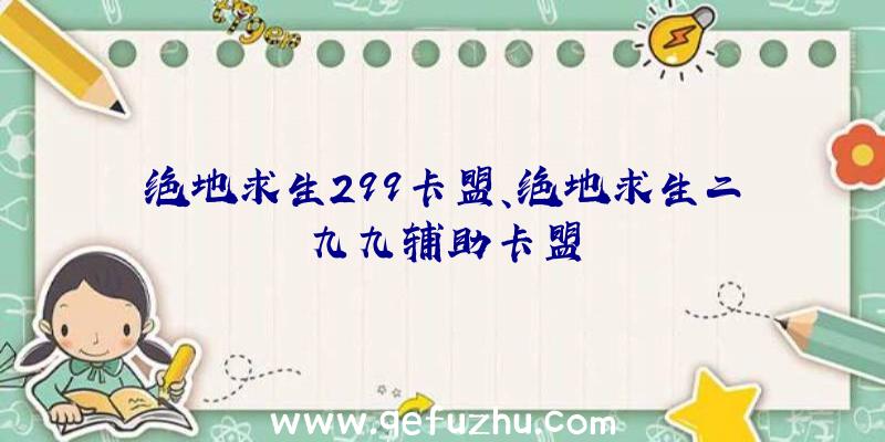 绝地求生299卡盟、绝地求生二九九辅助卡盟