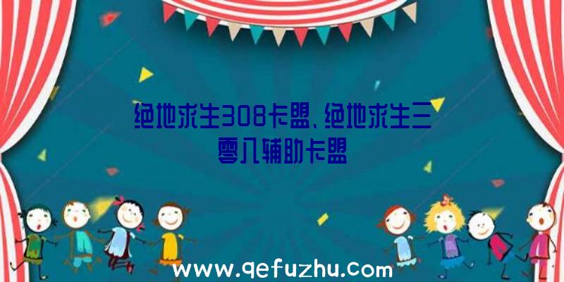 绝地求生308卡盟、绝地求生三零八辅助卡盟