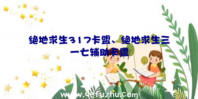 绝地求生317卡盟、绝地求生三一七辅助卡盟