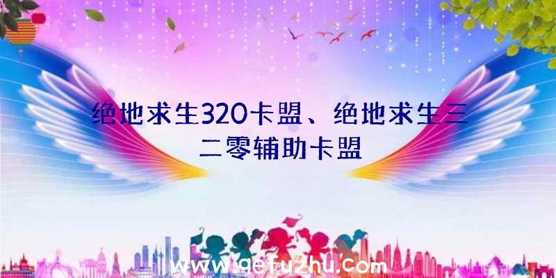 绝地求生320卡盟、绝地求生三二零辅助卡盟