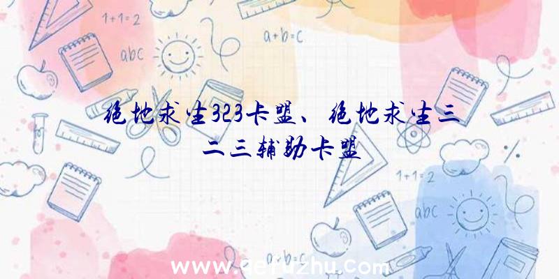 绝地求生323卡盟、绝地求生三二三辅助卡盟