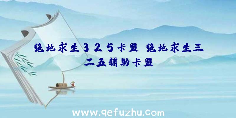 绝地求生325卡盟、绝地求生三二五辅助卡盟