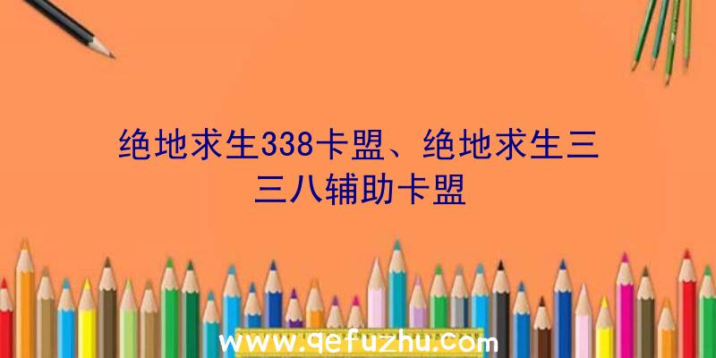 绝地求生338卡盟、绝地求生三三八辅助卡盟