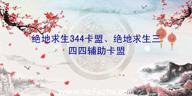 绝地求生344卡盟、绝地求生三四四辅助卡盟